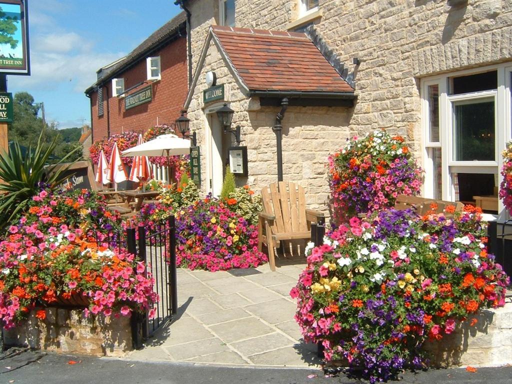 The Walnut Tree Inn Mere Mere  Exterior foto